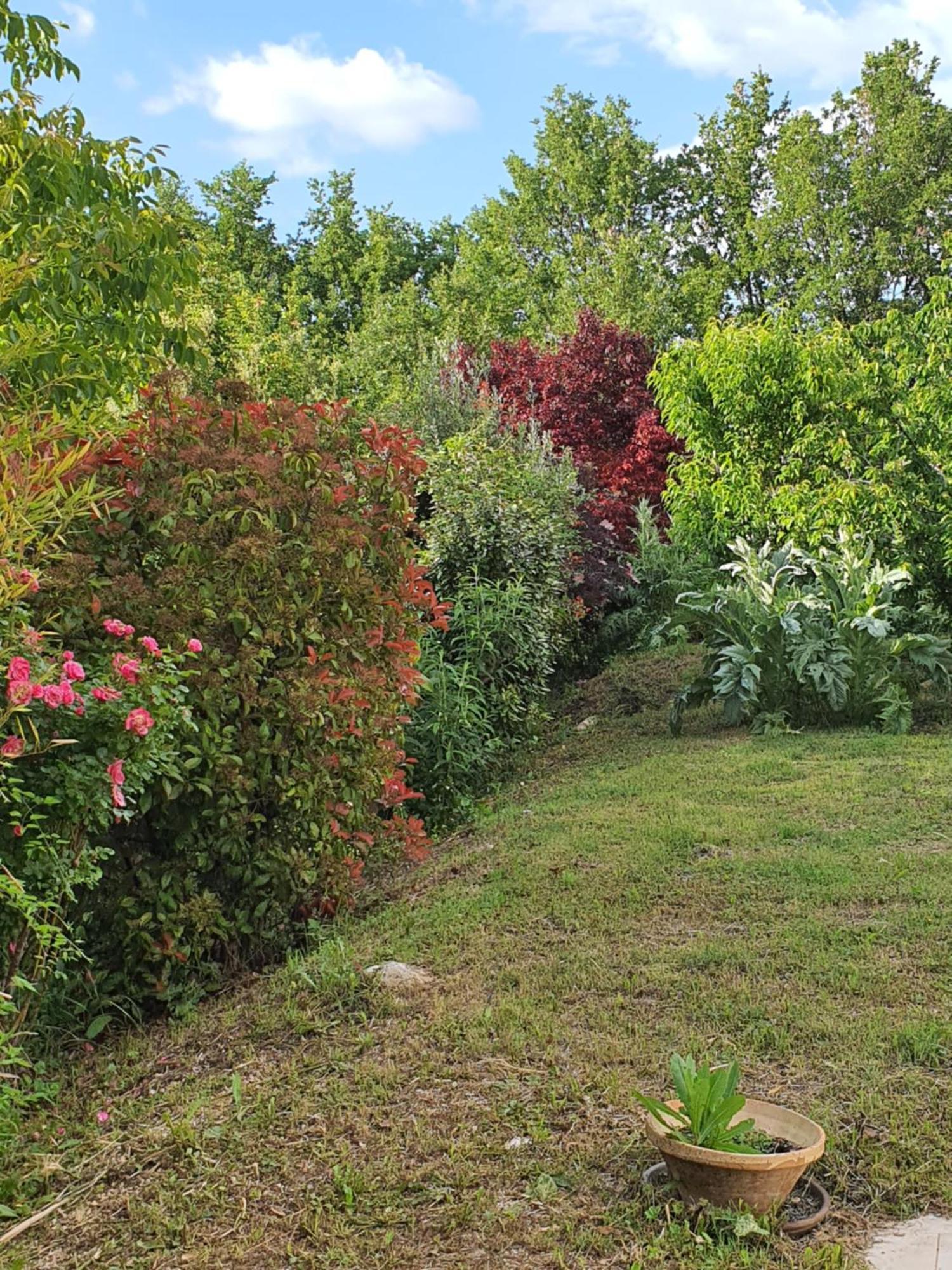 Saint-Martin-de-Castillon Gite Hanna En Luberon - Le Boisset De St Martin De Castillon מראה חיצוני תמונה